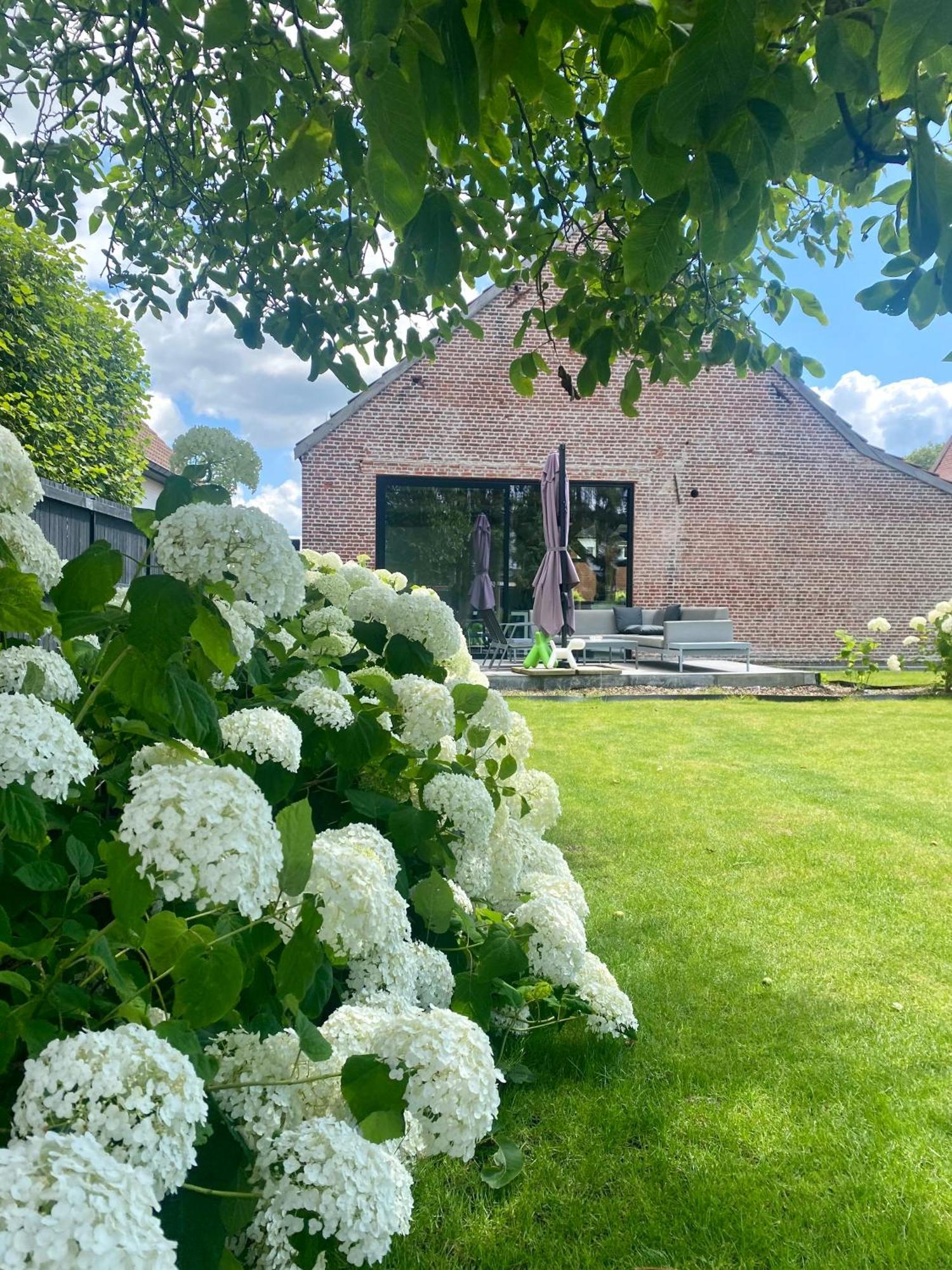 Hoeve De Kleinheide Dessel Ngoại thất bức ảnh