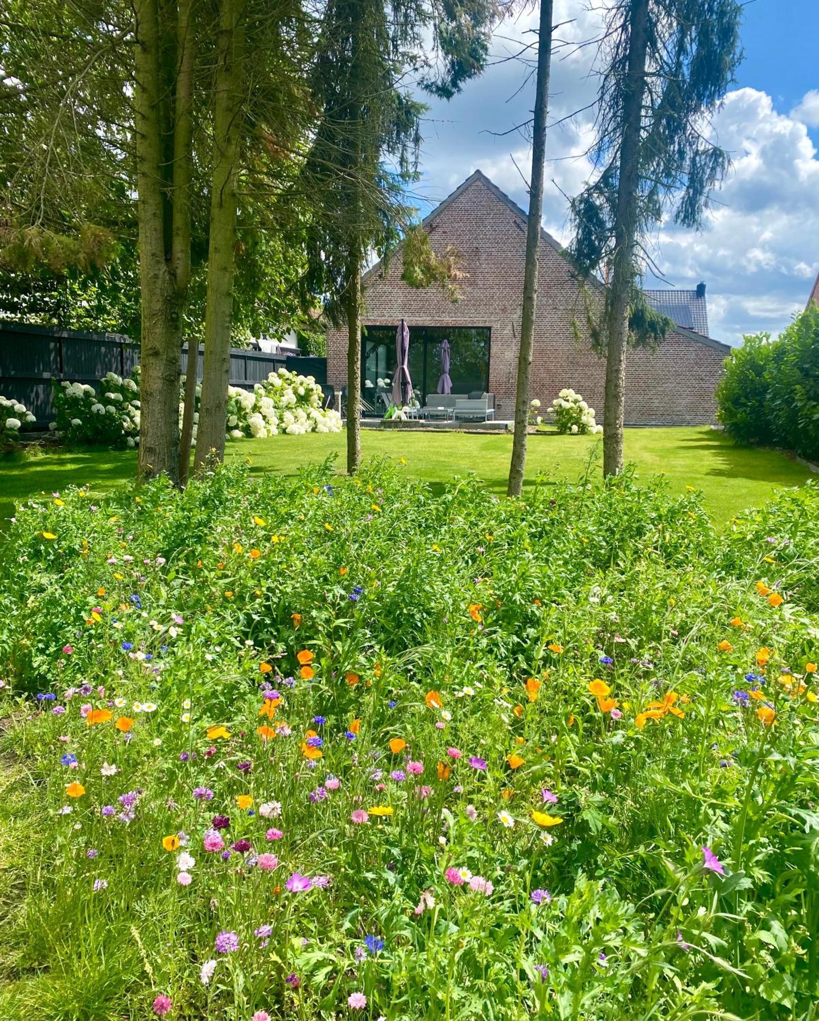 Hoeve De Kleinheide Dessel Ngoại thất bức ảnh